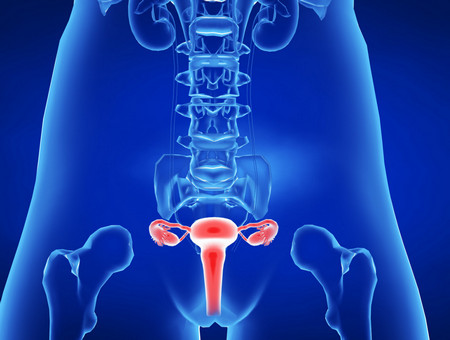 子宫内膜薄厚影响受孕吗 科学保养内膜的方法