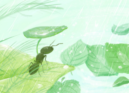 蟋蟀和蚂蚁的故事