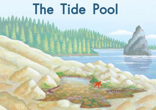 《The Tide Pool小小的潮池》英语绘本pdf资源免费下载