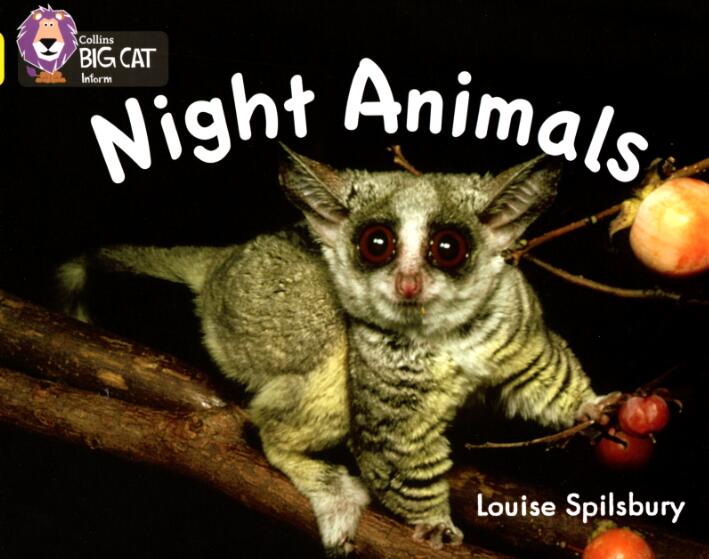 《Night Animals》大猫分级英语绘本pdf资源免费下载