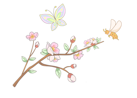蝴蝶与蜜蜂的故事