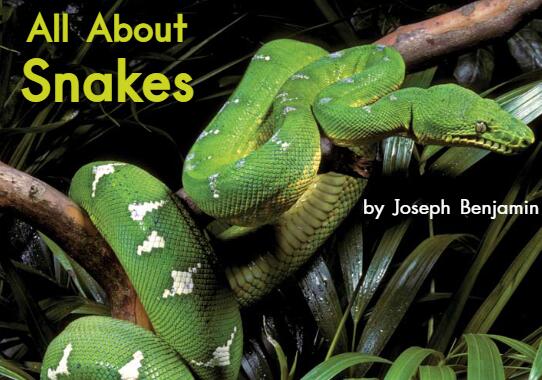 《All About Snakes关于蛇的一切》海尼曼英语绘本pdf资源免费下载