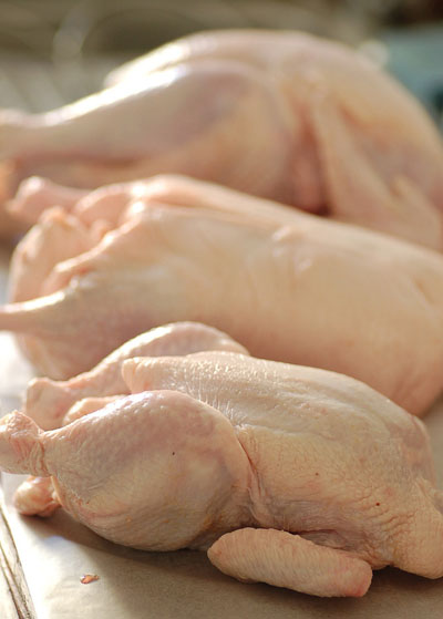 禽流感少吃鸡肉？鸡肉价格未受影响食品行业资讯