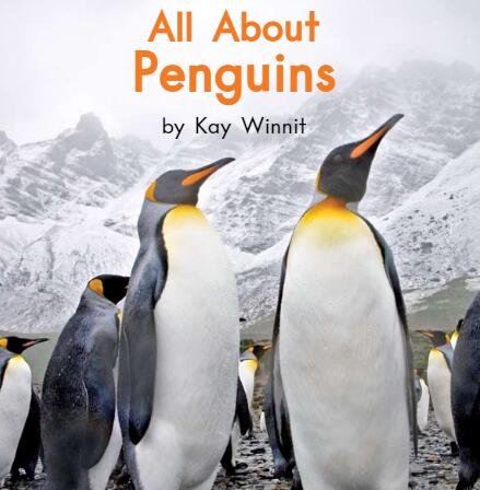 《All About Penguins关于企鹅》英语绘本pdf资源免费下载