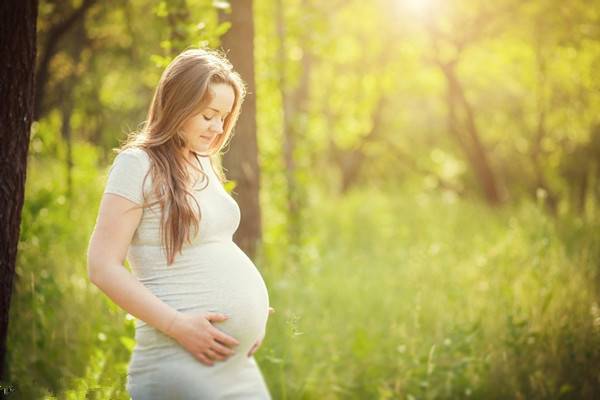 孕妇吃芹菜对胎儿好吗 原来孕妇吃芹菜竟有这么多的好处