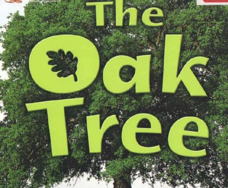 《The Oak Tree》英语绘本pdf资源免费下载
