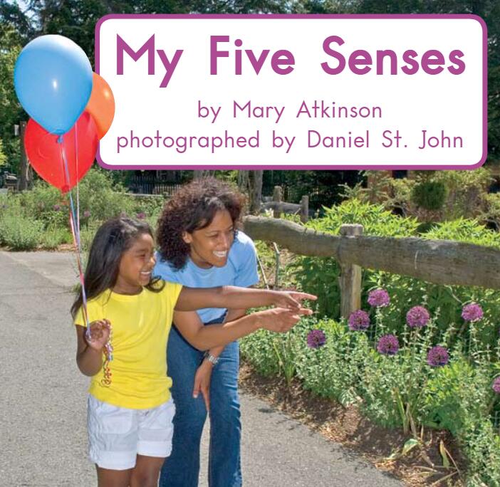 《My Five Senses我的五种感官》绘本故事pdf资源免费下载