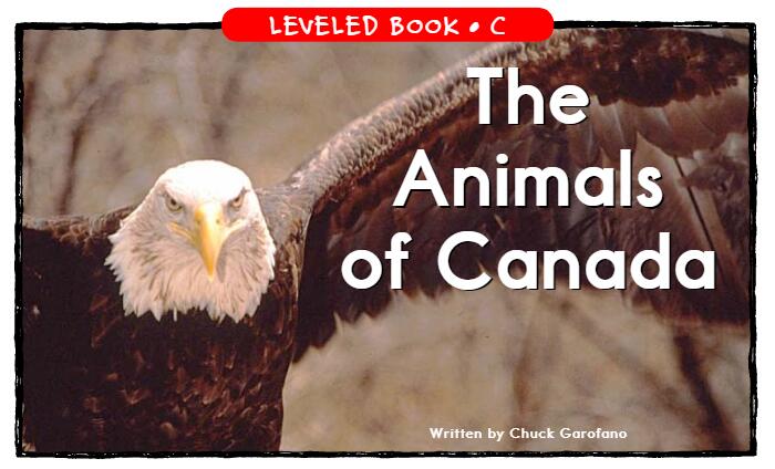 《The Animals of Canada》RAZ分级绘本pdf资源免费下载