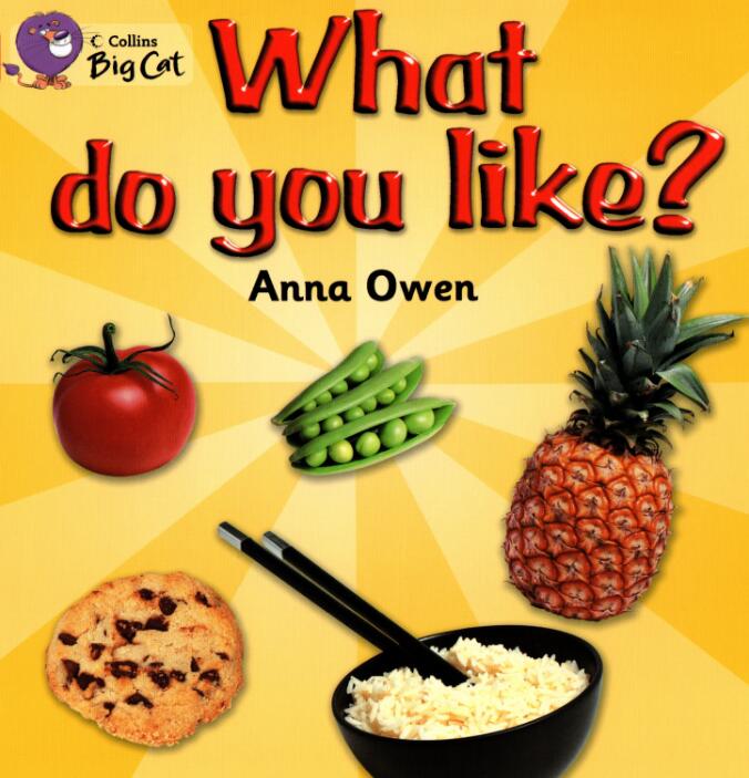 《What Do You Like》英语绘本pdf资源免费下载