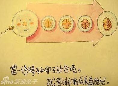 孩子问：我是从哪里来的，妈妈应该怎么回答