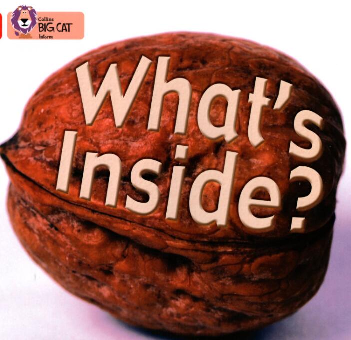 《What's inside》英文绘本pdf资源免费下载