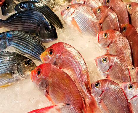 新型冠状病毒期间可以吃鱼虾吗