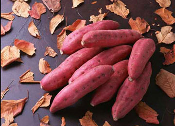 秋季补中益气吃红薯妈妈秋季养生
