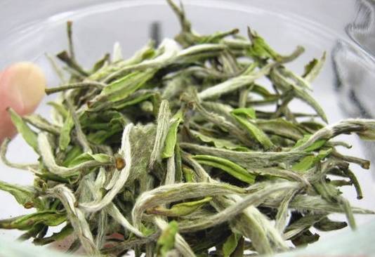 怀孕期间喝白牡丹茶好不好？白牡丹茶的主要功效介绍