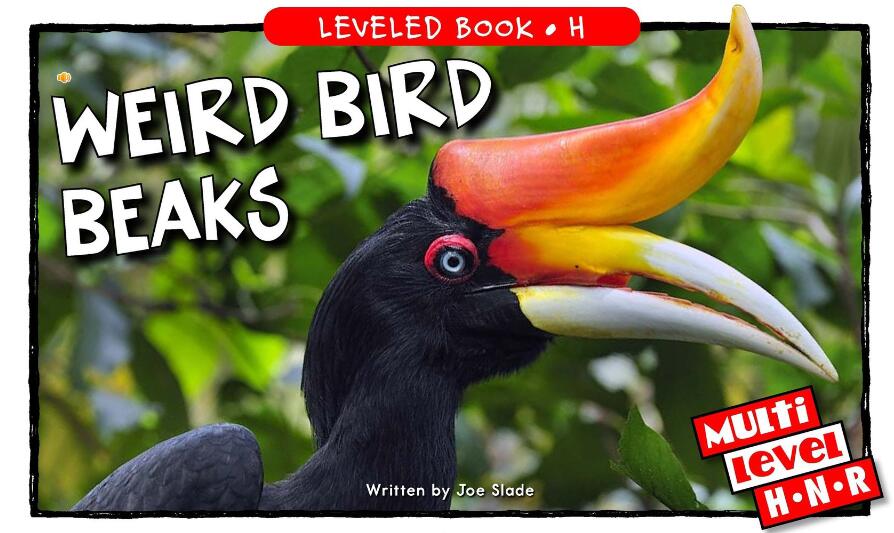 《Weird Bird Beaks》RAZ分级电子绘本pdf资源免费下载