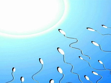 备孕必知：精子的存活时间有多长两性知识