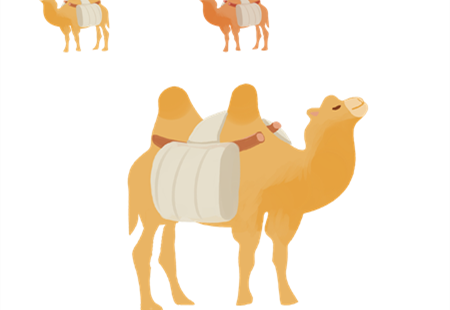 爱美的小骆驼故事