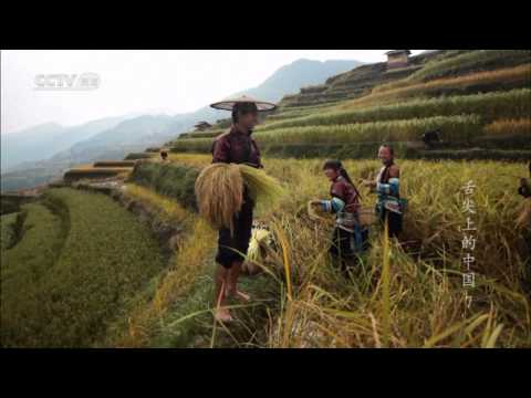 舌尖上的中国第1季第7集视频回顾：我们的田野饮食快报