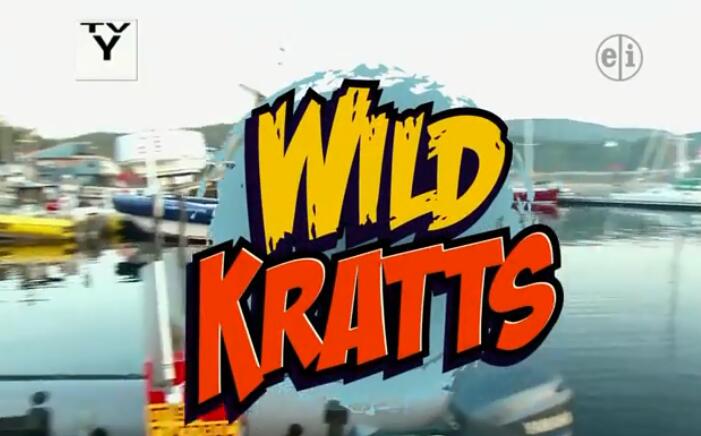 WILD KRATTS动物兄弟第一季免费观看全集动物兄弟第一季英文版百度网盘下载