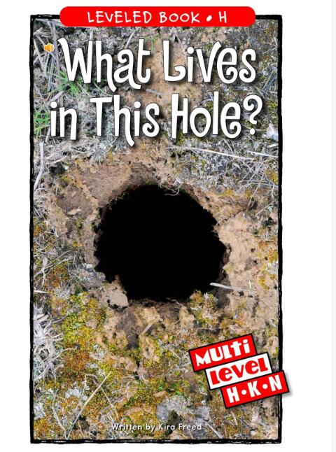 《What Lives in This Hole》RAZ分级绘本pdf资源免费下载