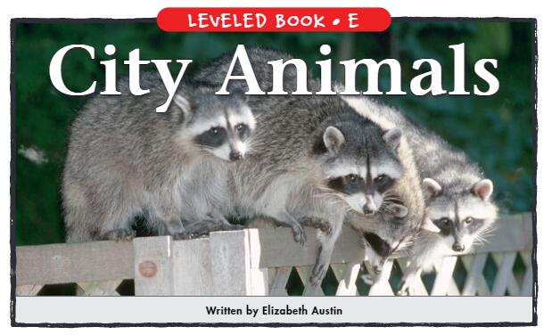 《City Animals》英文绘本pdf资源免费下载