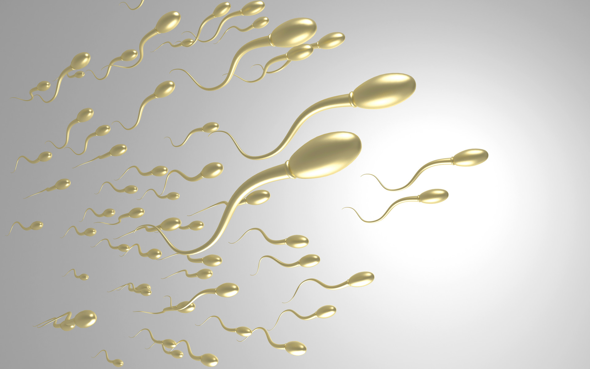久备不孕精子是否有问题吗