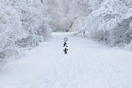 大雪节气出生的人怎么样？性格好吗？