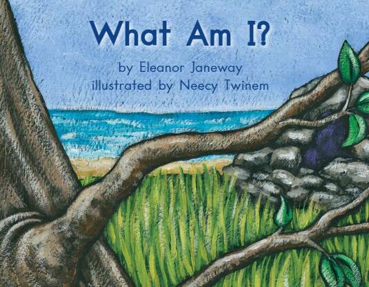 《What am I我是什么》海尼曼英语绘本pdf资源免费下载