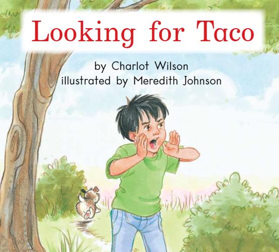《Looking For Taco塔科去哪了》海尼曼英语绘本pdf资源免费下载