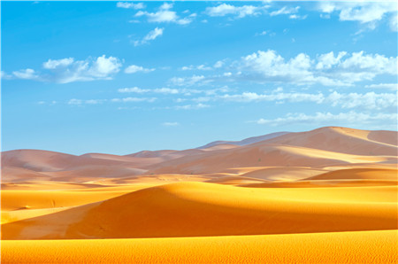 地球大观之撒哈拉沙漠mp4网盘在线播放