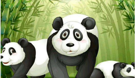小熊猫的黑眼圈故事