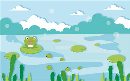 青蛙和蝌蚪的故事