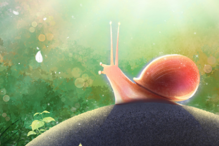 蜗牛看花的故事