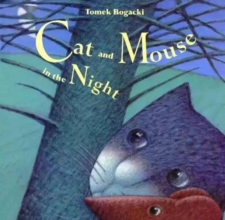 《Cat and Mouse in the Night猫咪老鼠在夜里》英语绘本pdf资源免费下载