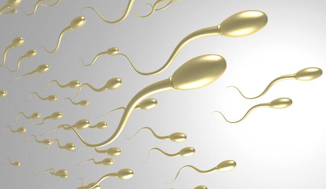 抗精子抗体阳性会导致精子畸形吗