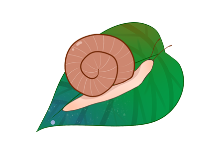 小蜗牛找菜叶故事