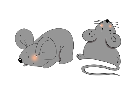 两只聪明的老鼠童话故事