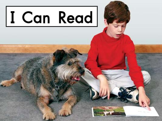 《I can read我能读书》英文原版绘本pdf资源免费下载