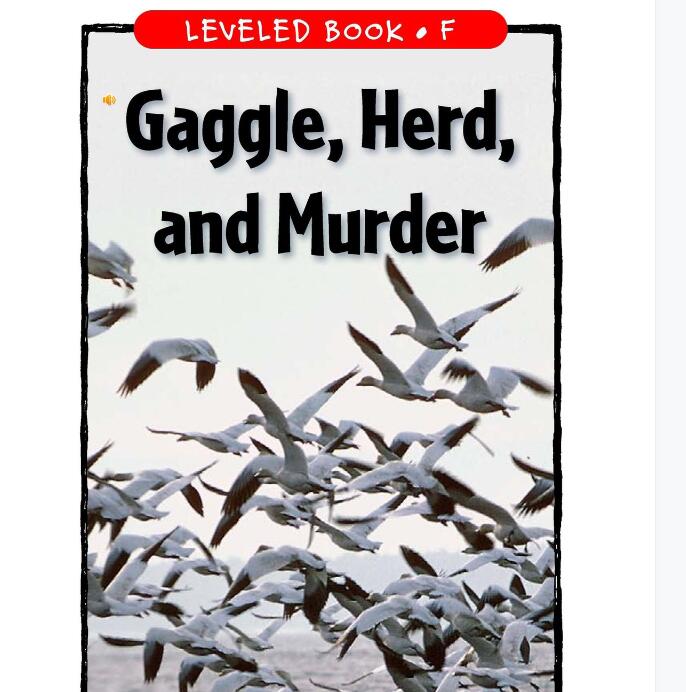 《Gaggle,Herd,and Murder》RAZ分级绘本pdf资源免费下载