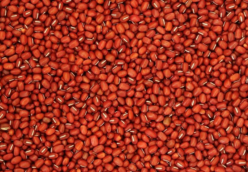 尿酸高能吃红豆吗