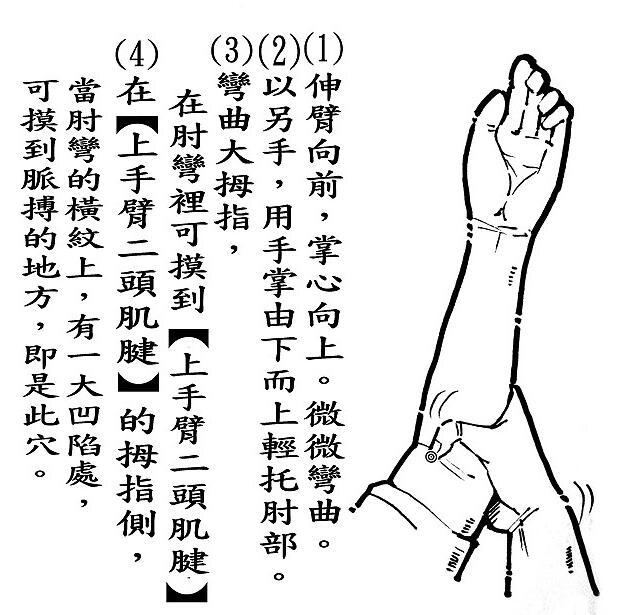 尺泽准确位置图和作用