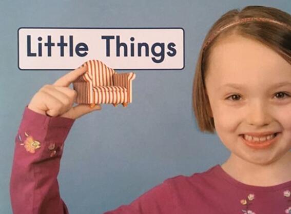 《Little Things很小的物品》英文原版绘本pdf资源免费下载