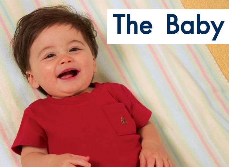 《The Baby宝宝》英文原版绘本pdf资源免费下载