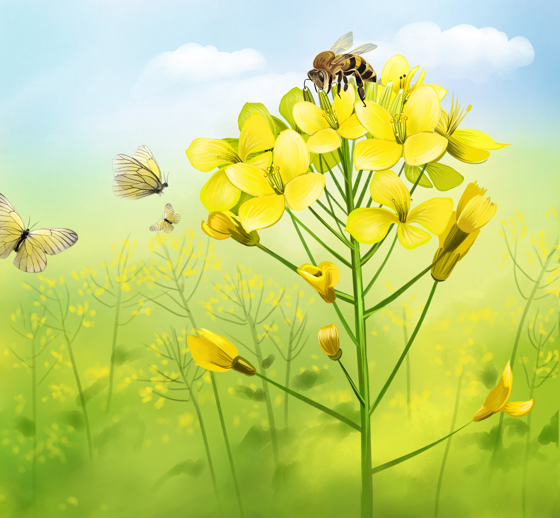 孕晚期胎教故事文字版：小蜜蜂和花1