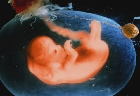 专家解读胎儿畸形4大疑问孕妇疾病