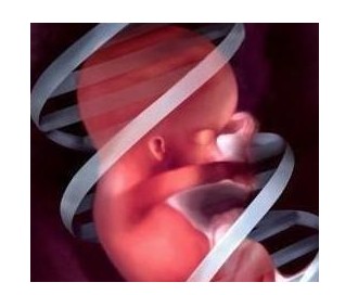 有关胎儿脐带绕颈的五个问答孕妇疾病