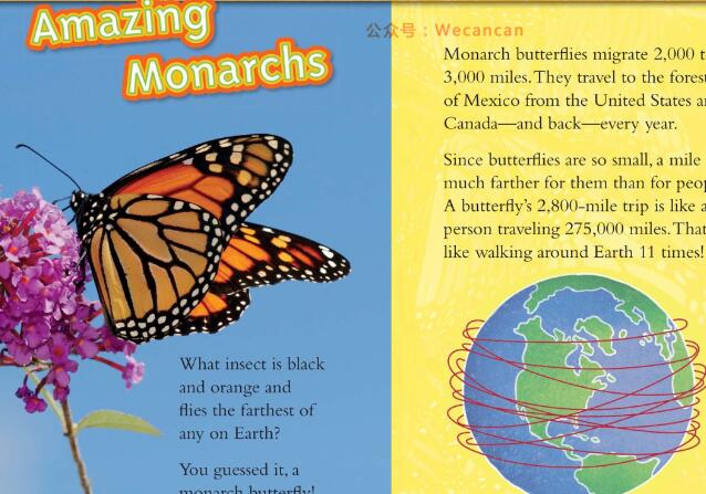 《Great Migrations Butterflies》科普绘本pdf资源免费下载