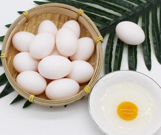 鸽子蛋和鸡蛋哪个营养价值更高