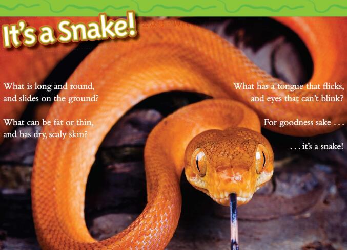 《Snakes》国家地理第2级科普绘本pdf资源免费下载