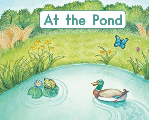《At the pond在池塘里》英文原版绘本pdf资源免费下载